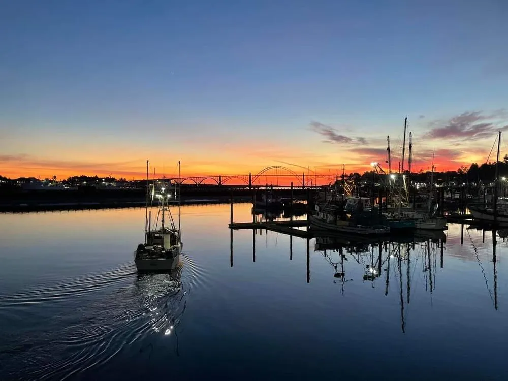 Reliable landscape installation in Corvallis, OR - The Extra Hand