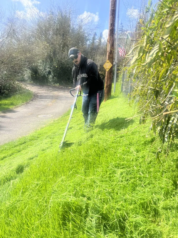Affordable yard maintenance for year-round maintenance in Corvallis, OR by The Extra Hand