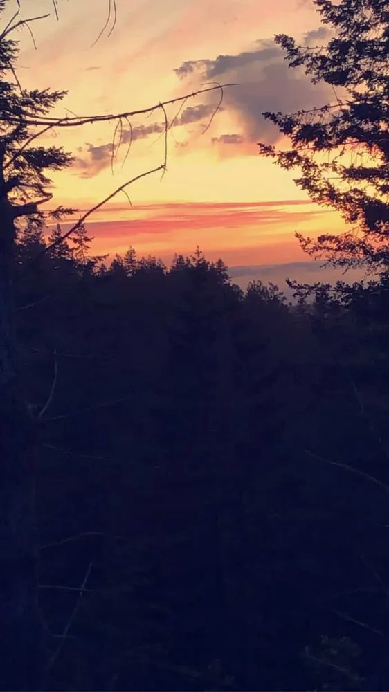 Local yard maintenance in Corvallis, OR - The Extra Hand