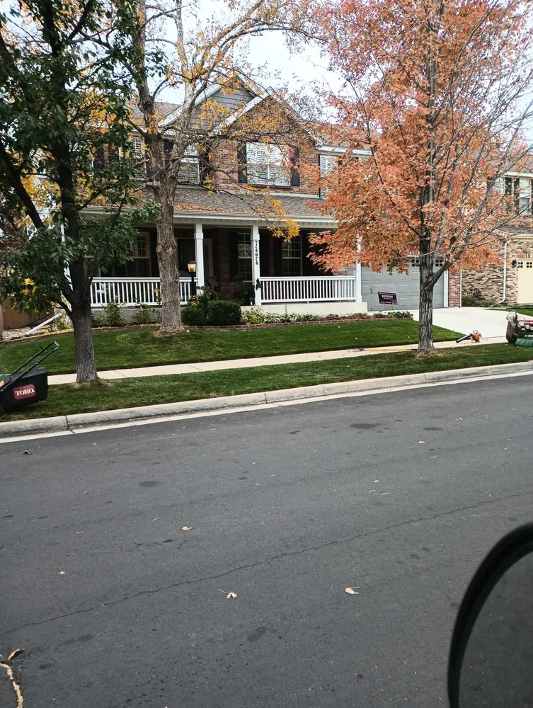 Professional landscaping services in Aurora, CO by The Family Lawn