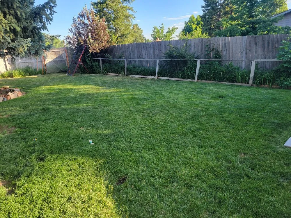 Expert lawn care service for homes across Aurora, CO - The Family Lawn