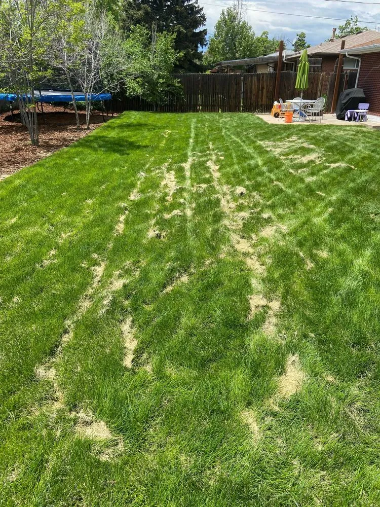 Trusted outdoor landscaping in Aurora, CO by The Family Lawn