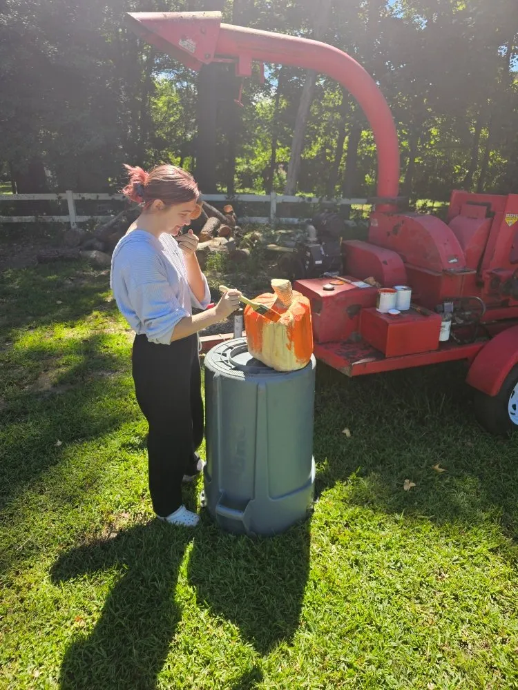 Local landscaping services in Millsboro, DE by The Family Tree