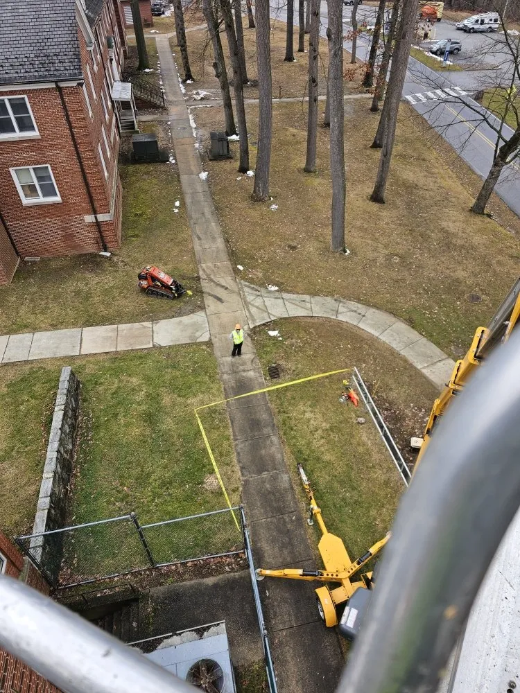 Top-rated lawn mowing service with custom design in Millsboro, DE by The Family Tree