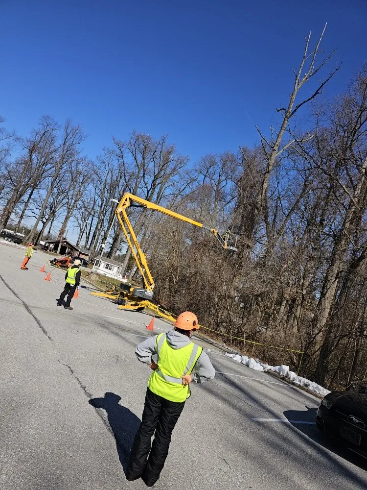 Top-rated landscape design experts serving Millsboro, DE - The Family Tree