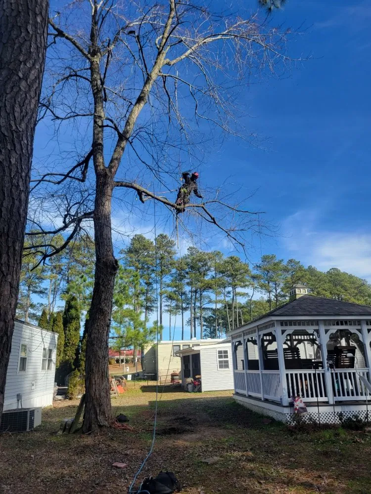 Affordable garden landscaping for outdoor upgrades in Millsboro, DE by The Family Tree