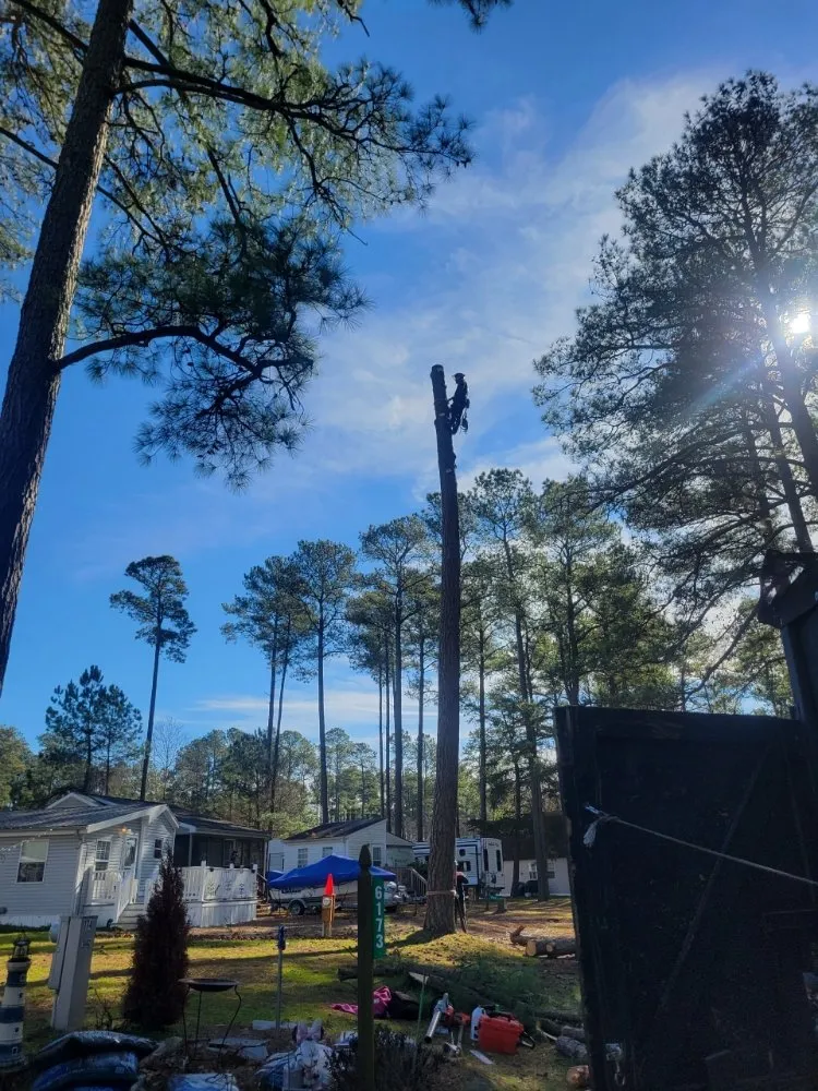 Custom landscape installation in Millsboro, DE - The Family Tree