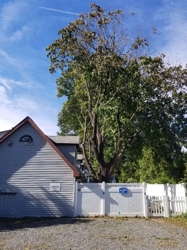 Local lawn care service for homes across Millsboro, DE - The Family Tree