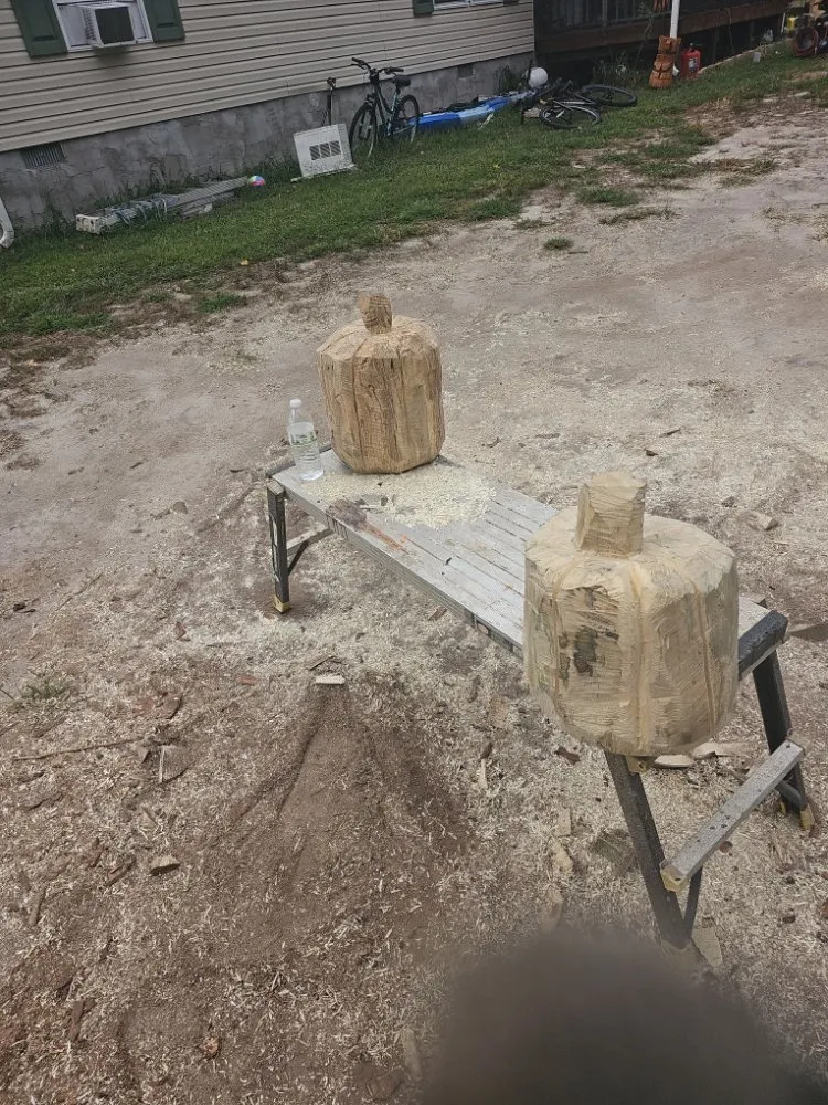 Local yard cleanup service in Millsboro, DE by The Family Tree