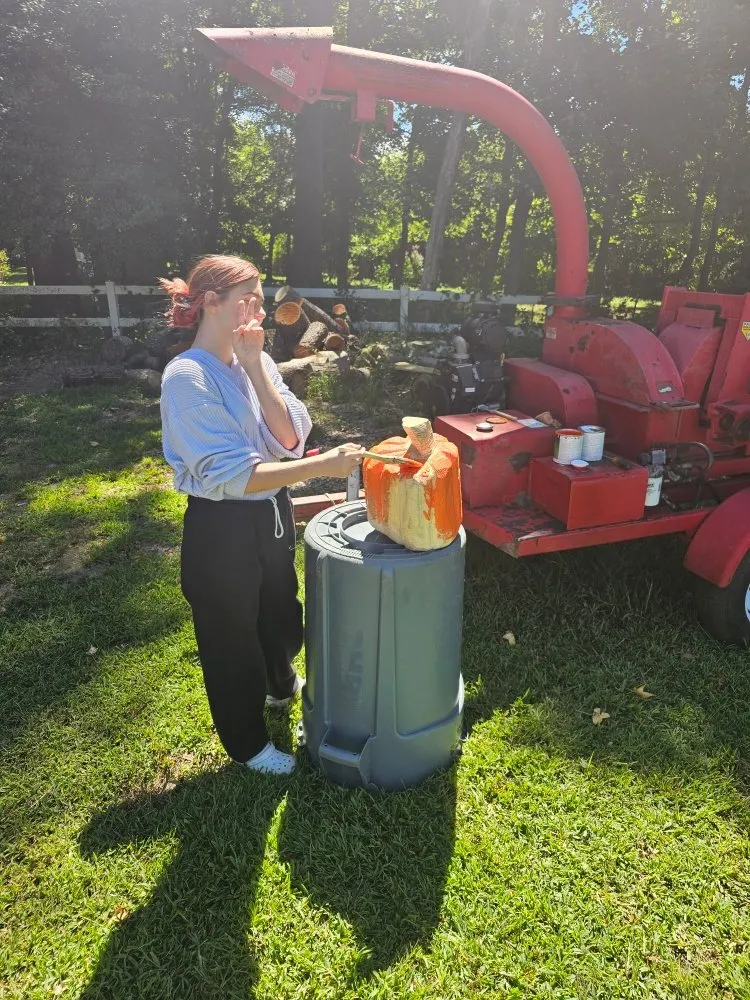 Affordable garden landscaping near you in Millsboro, DE by The Family Tree