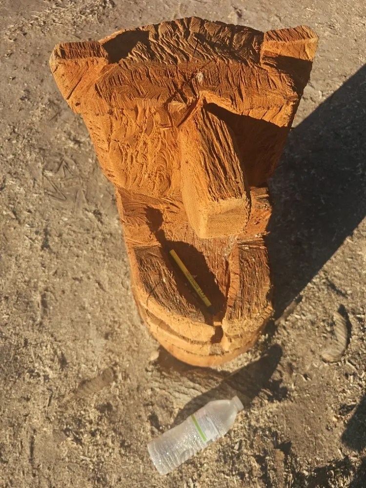 Local lawn mowing service in Millsboro, DE - The Family Tree