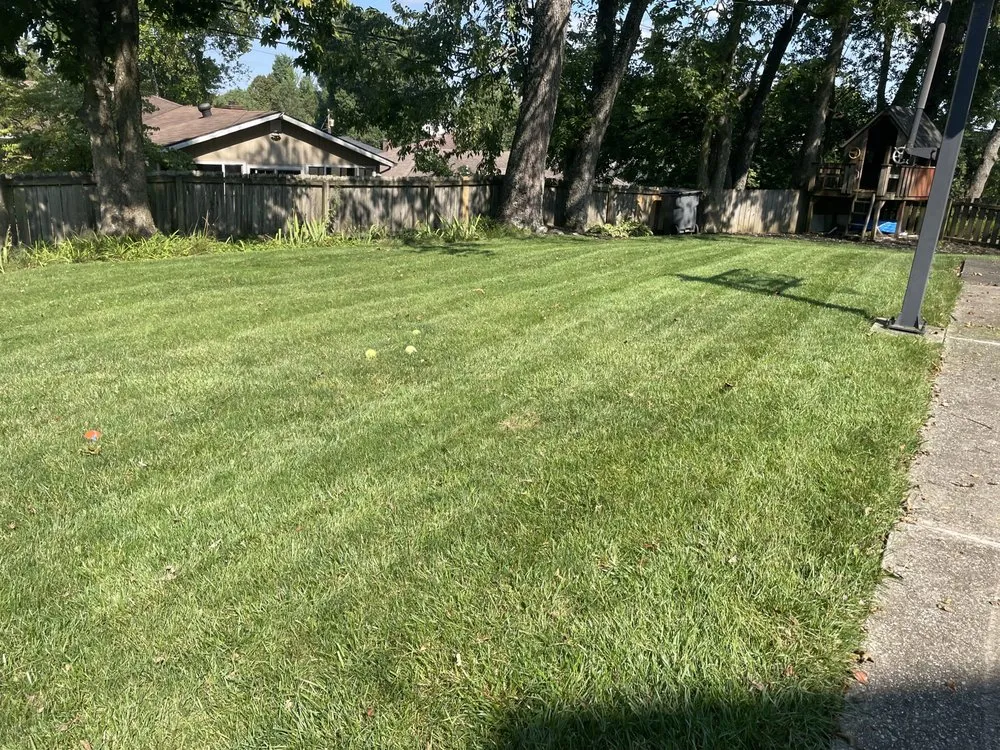 Trusted lawn mowing service in Lexington, KY by The Fantastic Duo