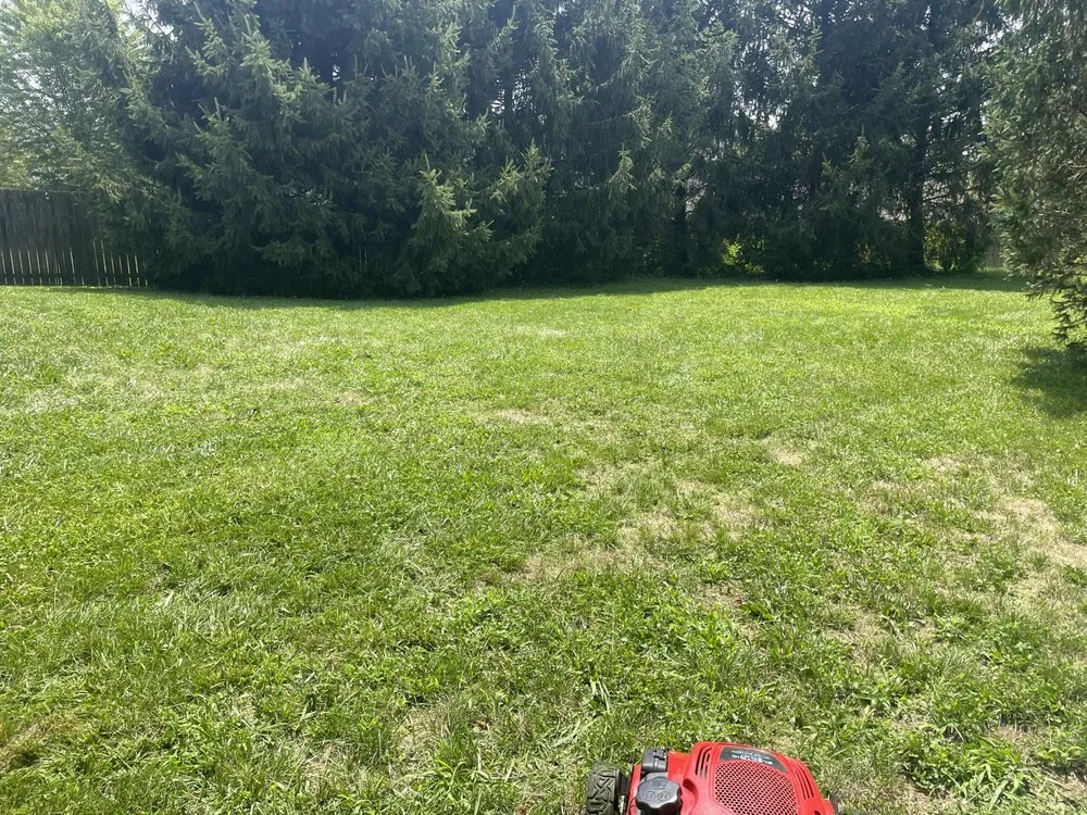 Expert landscape design experts serving Lexington, KY - The Fantastic Duo