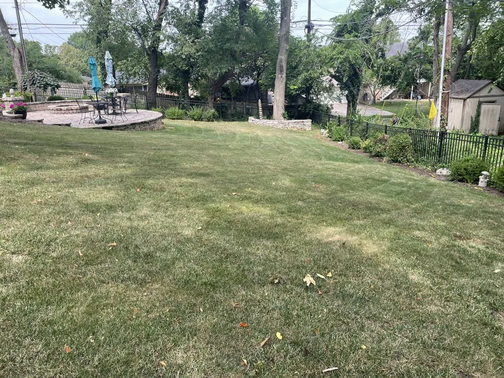 Professional landscape installation with custom design in Lexington, KY by The Fantastic Duo