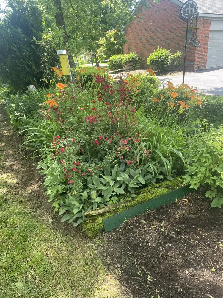 Expert residential landscaping in Lexington, KY - The Fantastic Duo