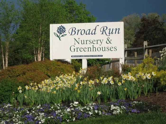 Custom residential landscaping in Broad Run, VA - The Farm at Broad Run