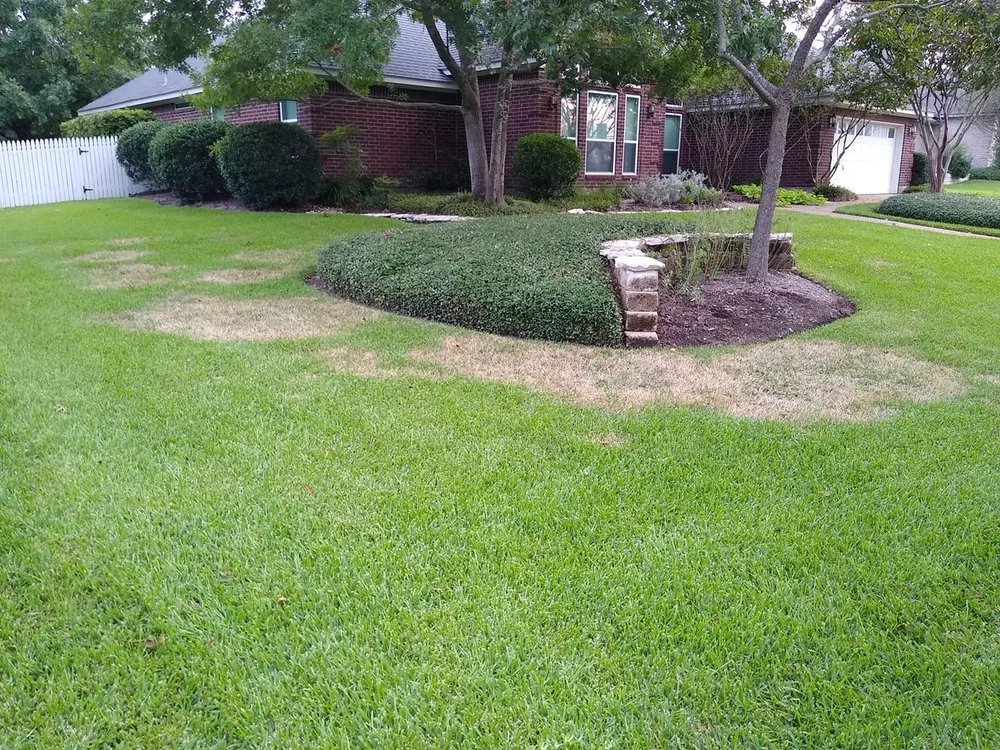 Top-rated residential landscaping in College Station, TX - The Fertilizer Guy