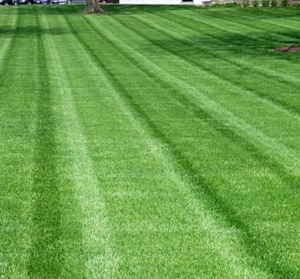Professional garden landscaping for year-round maintenance across Loves Park, IL - The Final Cut Lawncare