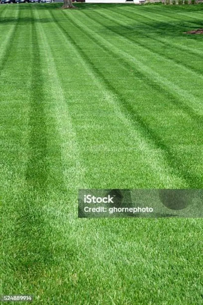 Professional yard maintenance for residential properties in Loves Park, IL by The Final Cut Lawncare