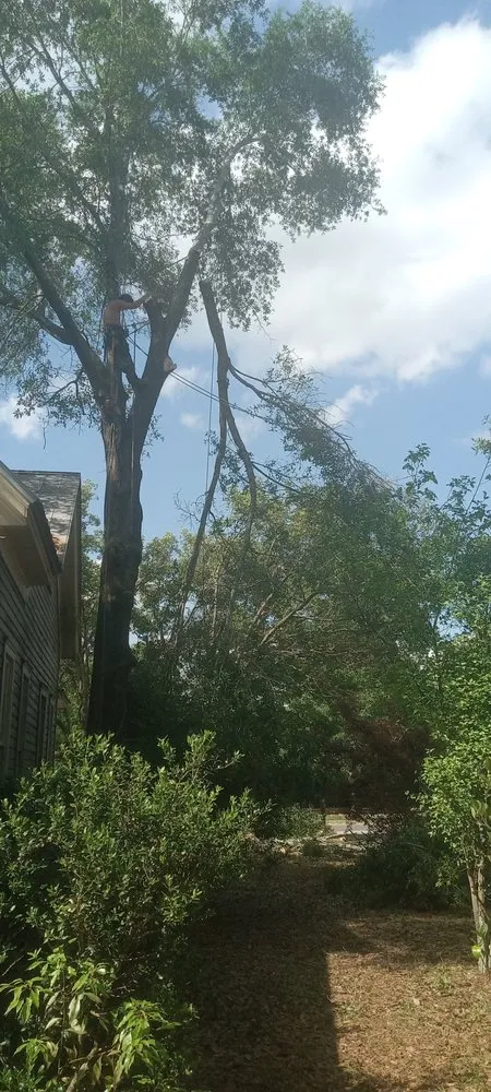 Top-rated landscape design in DeFuniak Springs, FL by The Final Cut Tree and lawn care