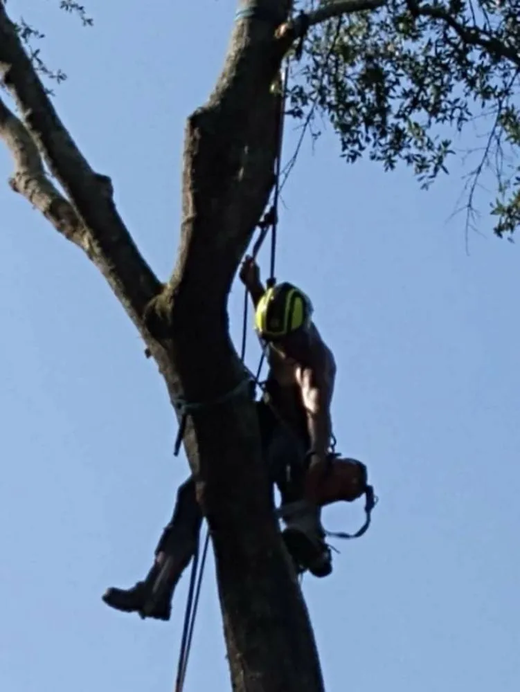 Trusted yard maintenance near you in DeFuniak Springs, FL by The Final Cut Tree and lawn care