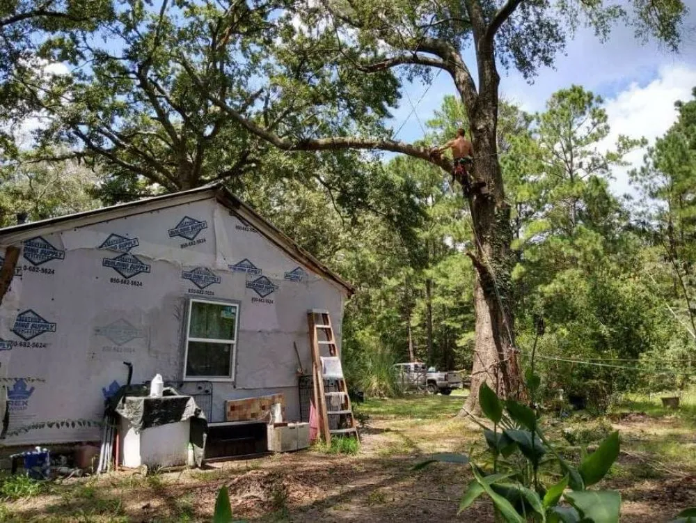 Expert residential landscaping experts serving DeFuniak Springs, FL - The Final Cut Tree and lawn care