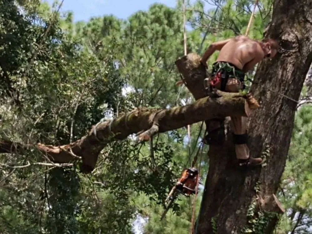 Professional residential landscaping experts serving DeFuniak Springs, FL - The Final Cut Tree and lawn care