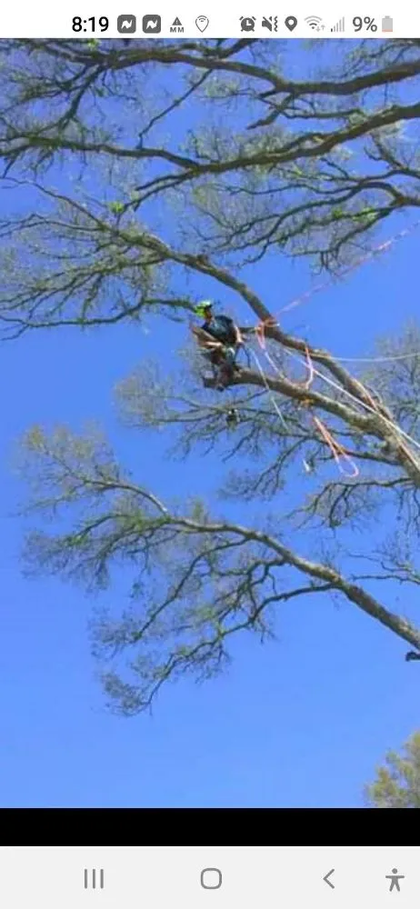 Expert outdoor landscaping in DeFuniak Springs, FL - The Final Cut Tree and lawn care