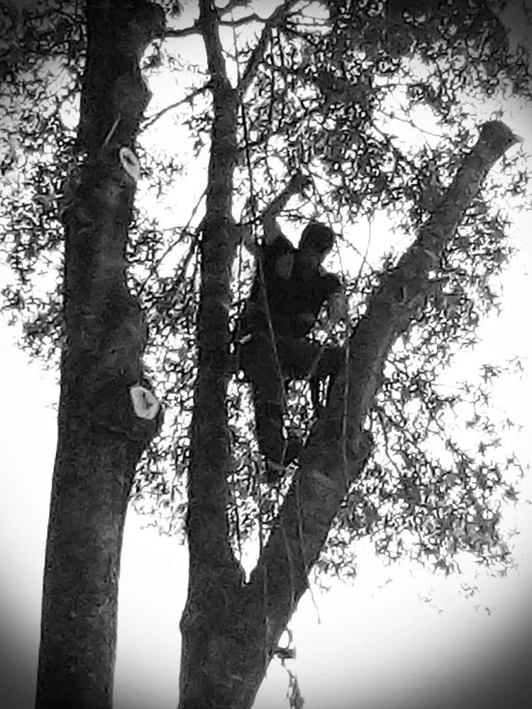 Custom garden landscaping in DeFuniak Springs, FL by The Final Cut Tree and lawn care