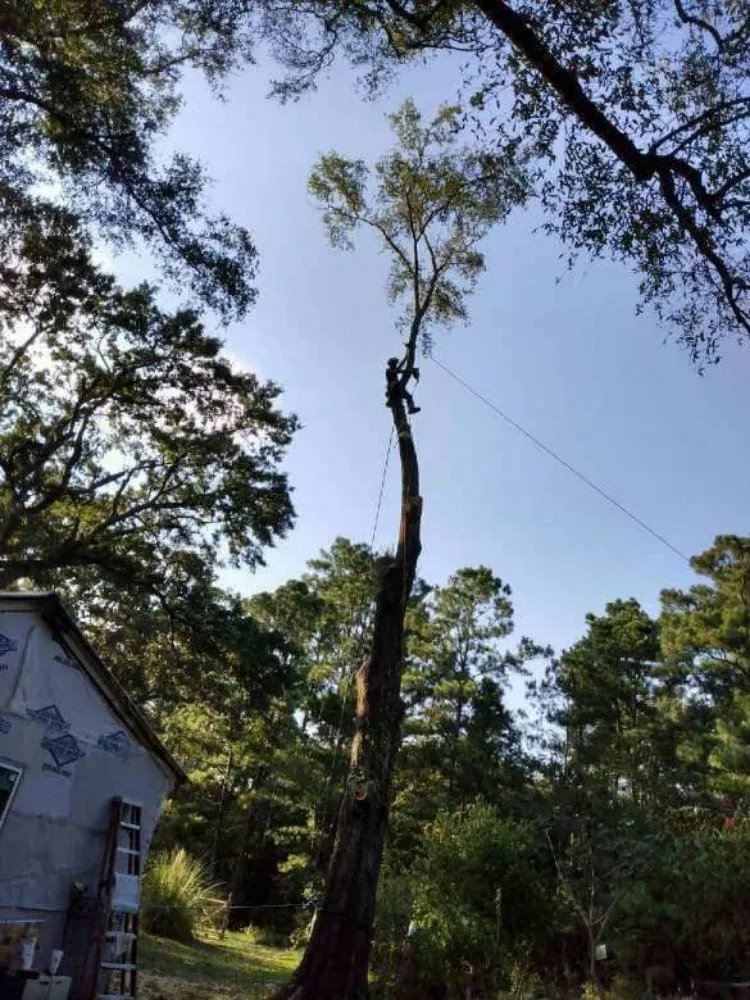 Reliable landscape installation for year-round maintenance in DeFuniak Springs, FL by The Final Cut Tree and lawn care