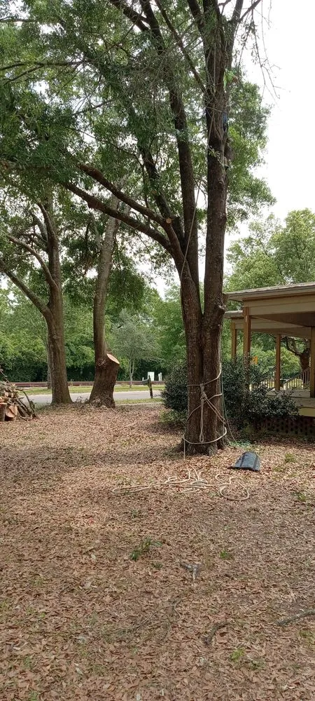 Trusted lawn care service in DeFuniak Springs, FL by The Final Cut Tree and lawn care