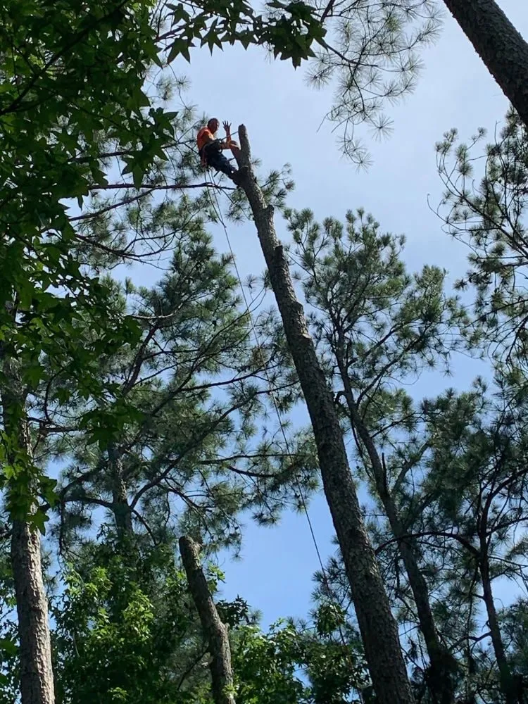 Reliable lawn care service experts serving DeFuniak Springs, FL - The Final Cut Tree and lawn care