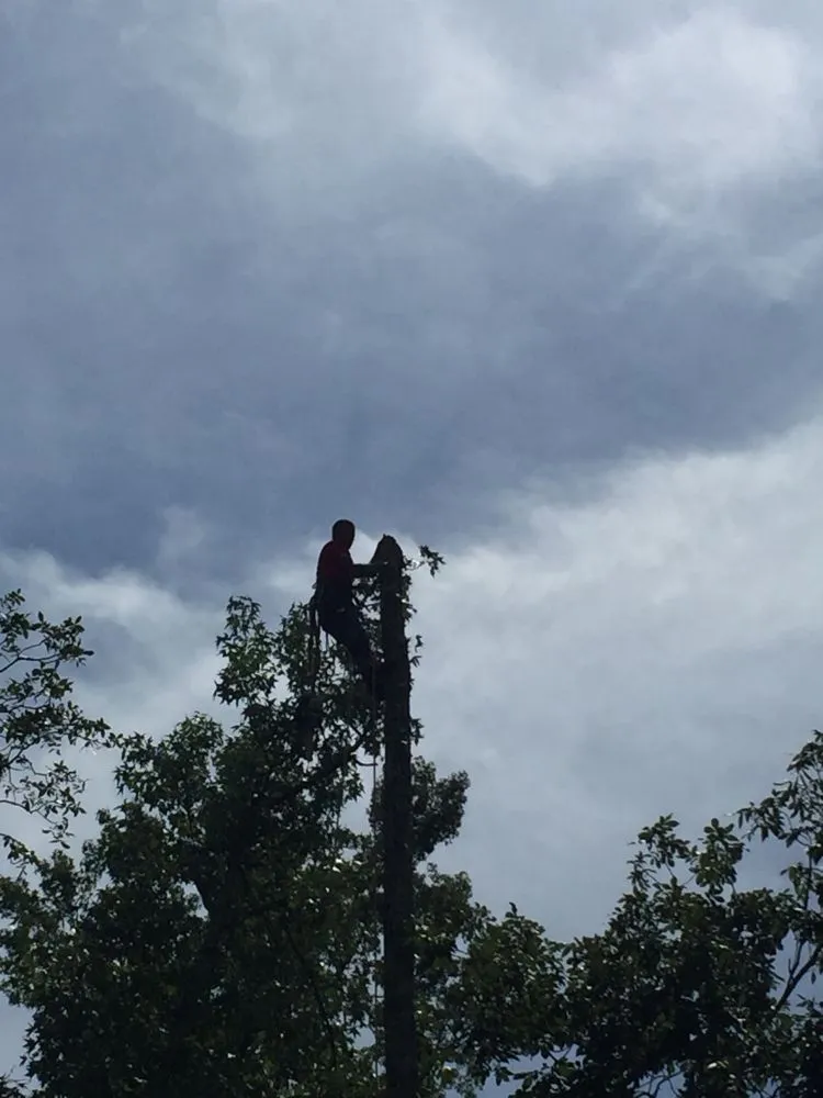 Affordable yard cleanup service experts serving DeFuniak Springs, FL - The Final Cut Tree and lawn care