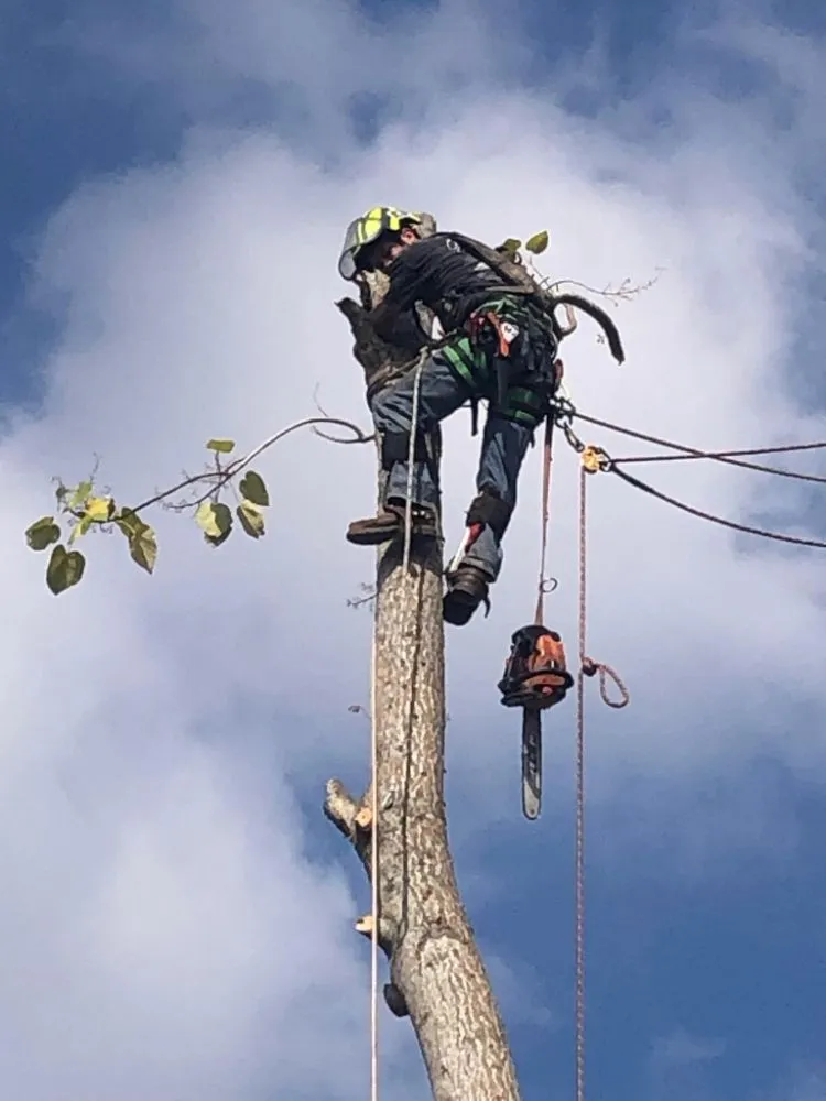 Top-rated outdoor landscaping experts serving DeFuniak Springs, FL - The Final Cut Tree and lawn care