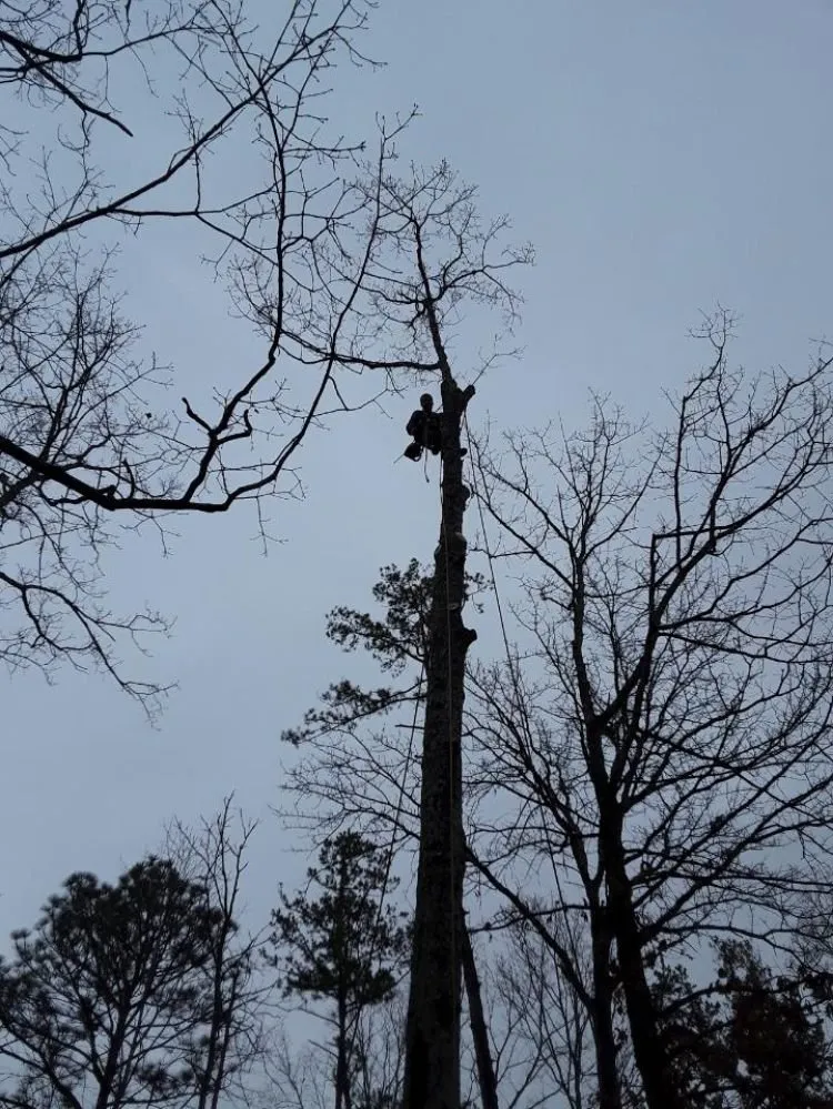 Top-rated residential landscaping with custom design in DeFuniak Springs, FL by The Final Cut Tree and lawn care
