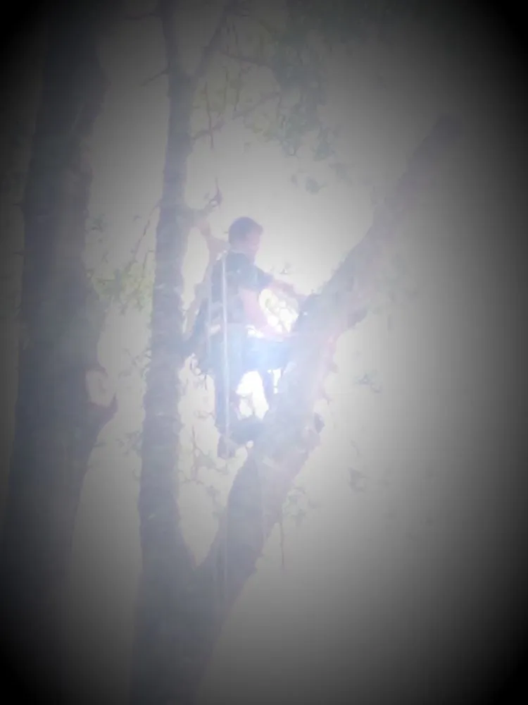 Trusted yard cleanup service for beautiful yards across DeFuniak Springs, FL - The Final Cut Tree and lawn care