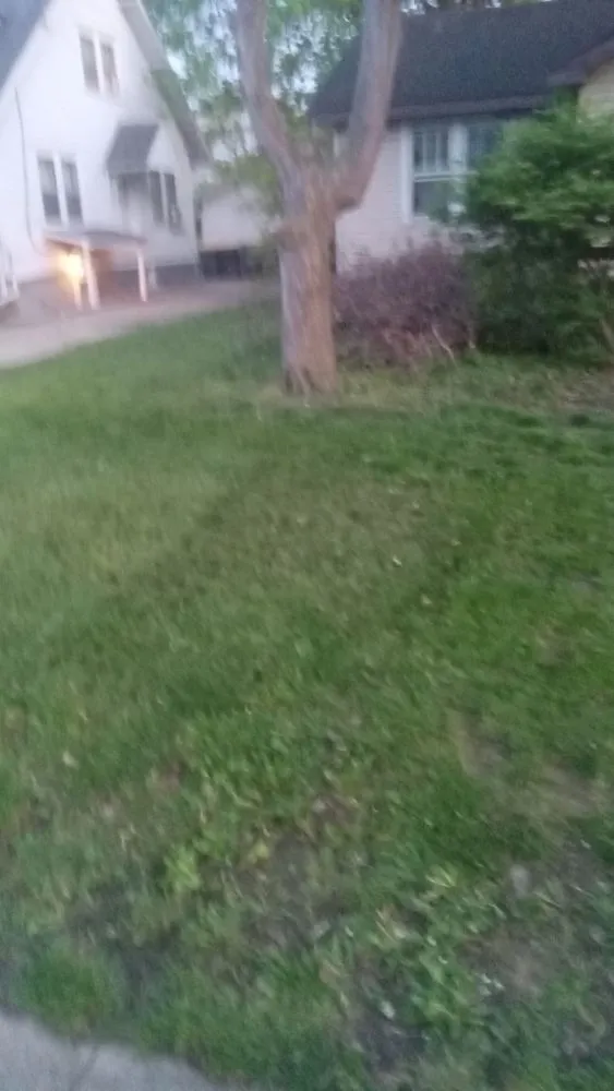 Affordable lawn mowing service for beautiful yards across Anderson, IN - The Finest