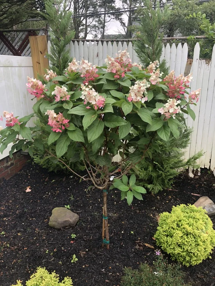 Reliable outdoor landscaping for homes in Massapequa, NY by The Finest Landscaping