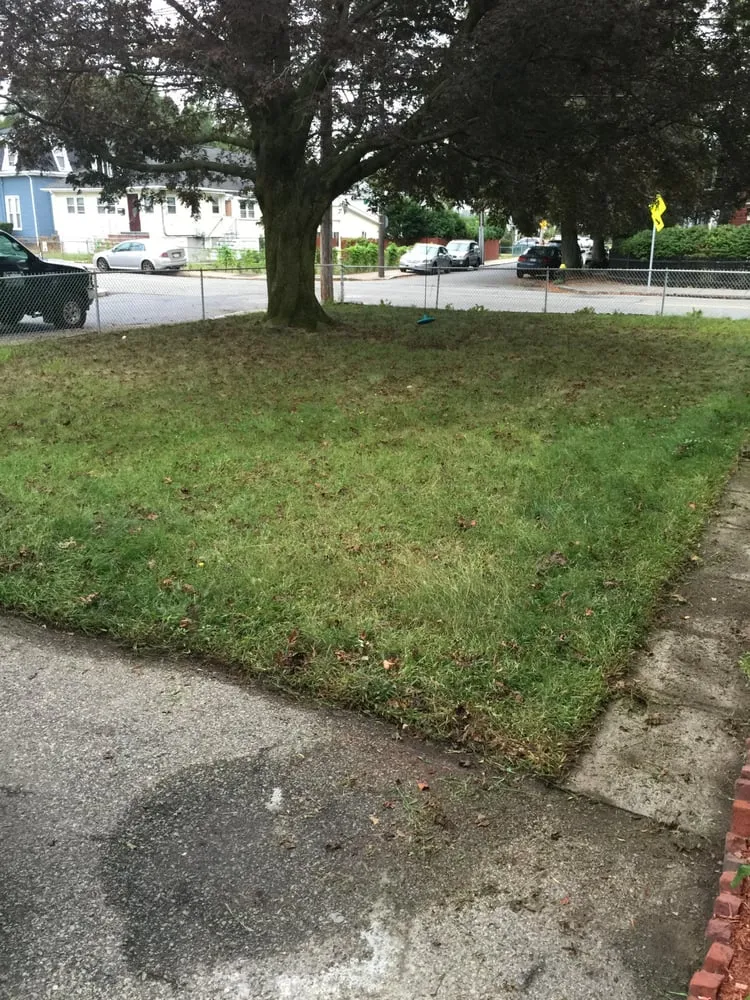 Custom garden landscaping for beautiful yards across West Roxbury, MA - The Finest Landscaping