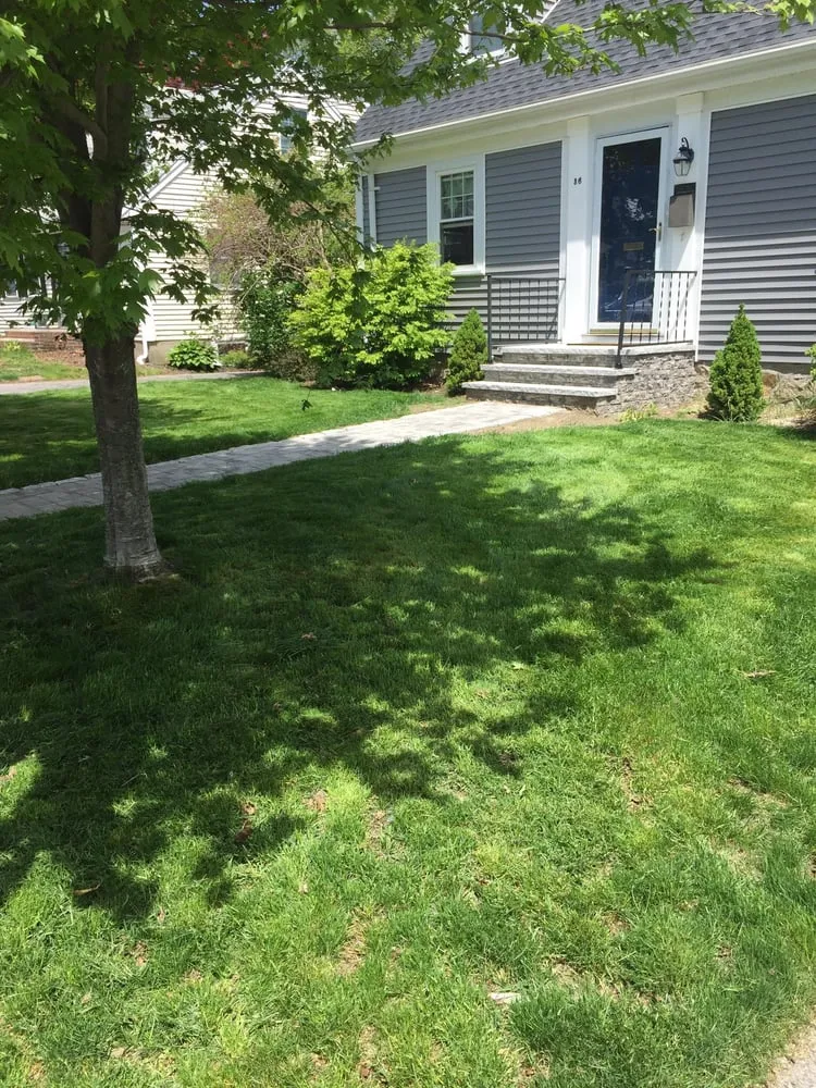 Trusted lawn care service for homes across West Roxbury, MA - The Finest Landscaping