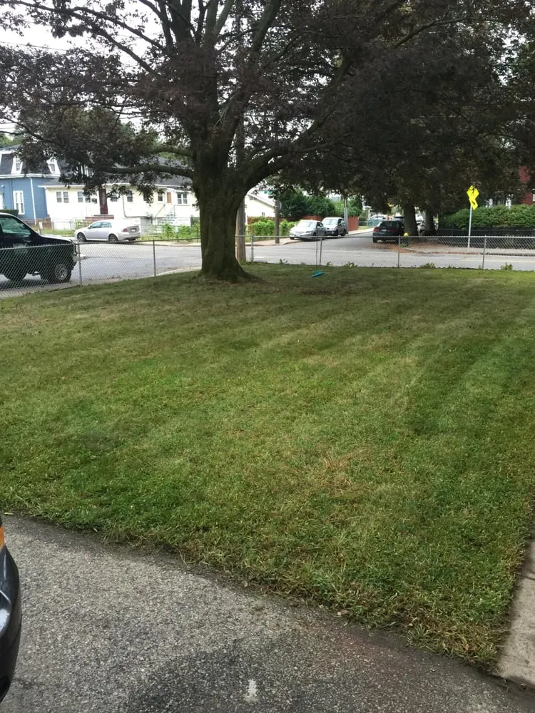 Reliable yard maintenance for year-round maintenance in West Roxbury, MA by The Finest Landscaping