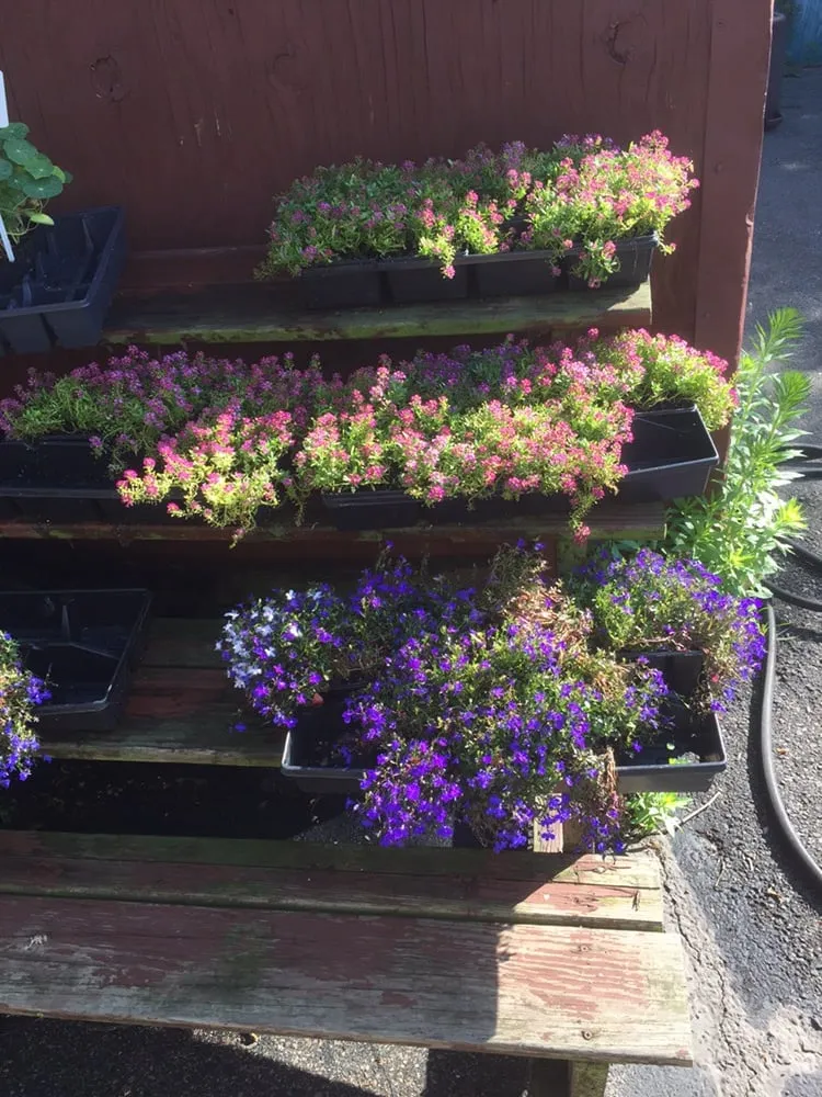 Expert landscape design in West Roxbury, MA - The Finest Landscaping