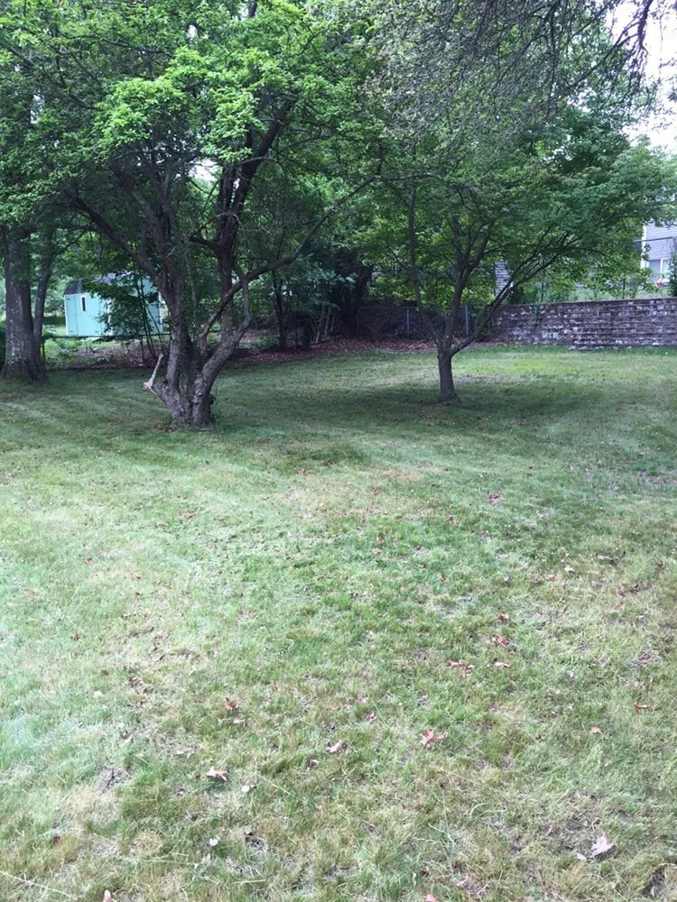 Top-rated landscaping services with custom design in West Roxbury, MA by The Finest Landscaping