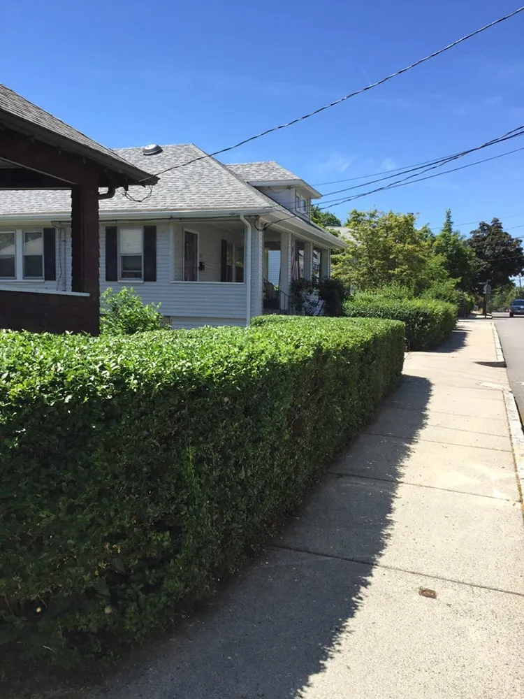 Local lawn mowing service in West Roxbury, MA - The Finest Landscaping