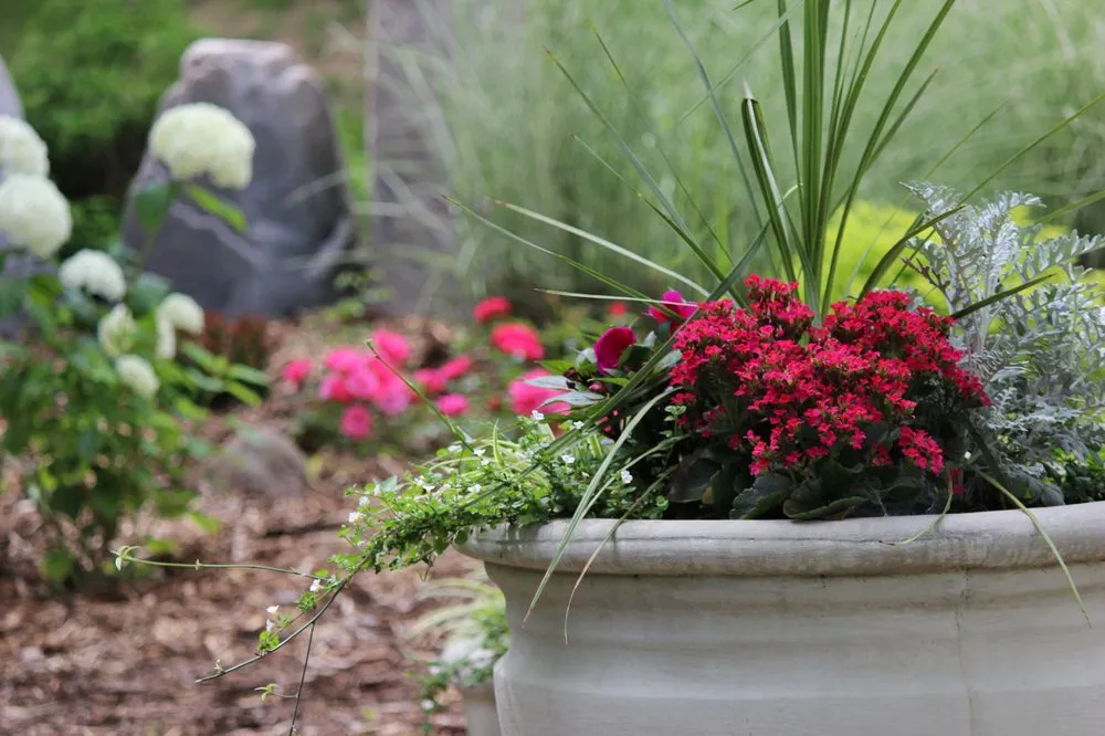Reliable garden landscaping for year-round maintenance in Ankeny, IA by The Finishing Touchez