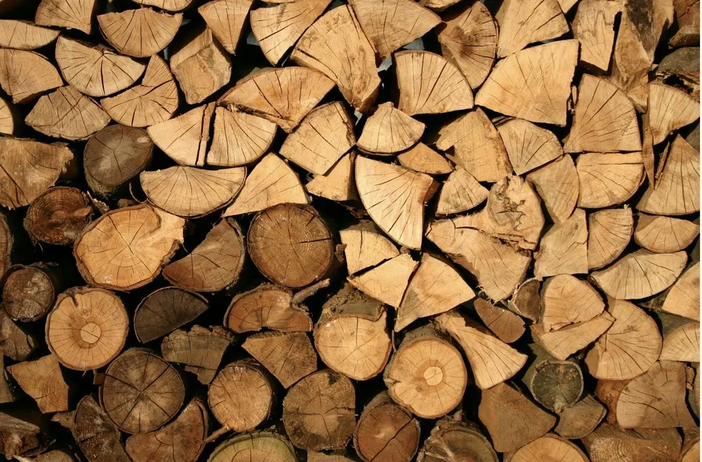 Affordable lawn mowing service in Clarksville City, TX - The Firewood Gals