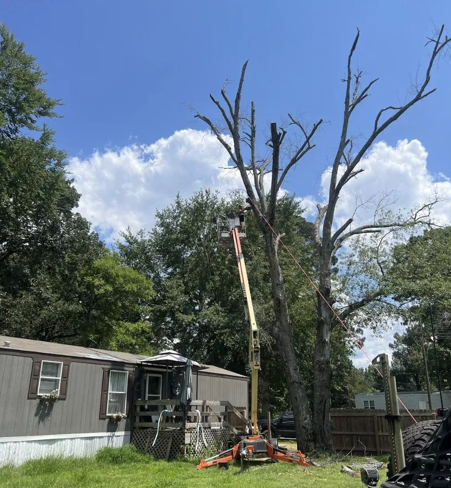 Affordable garden landscaping in Clarksville City, TX - The Firewood Gals