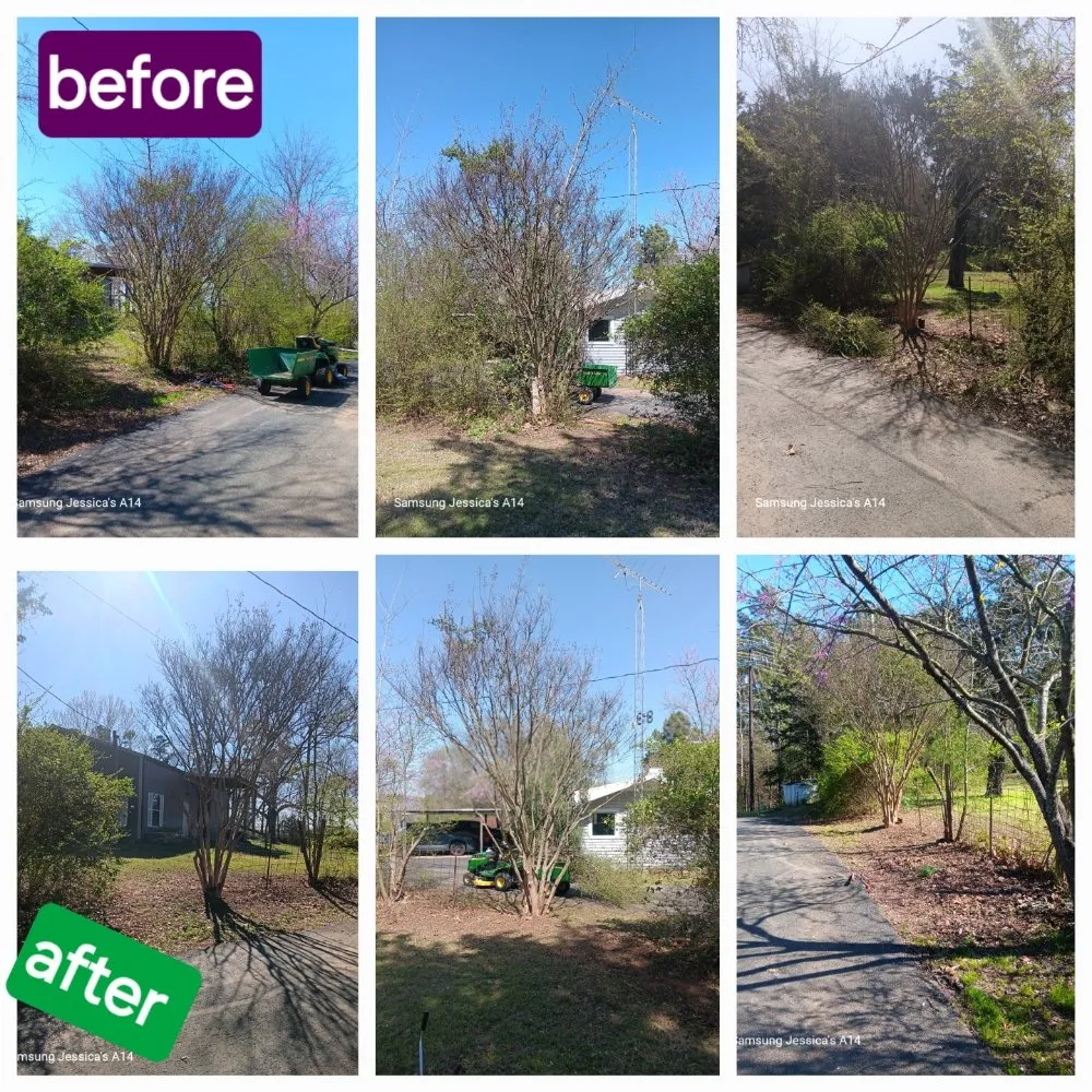 Trusted landscape design in Clarksville City, TX - The Firewood Gals