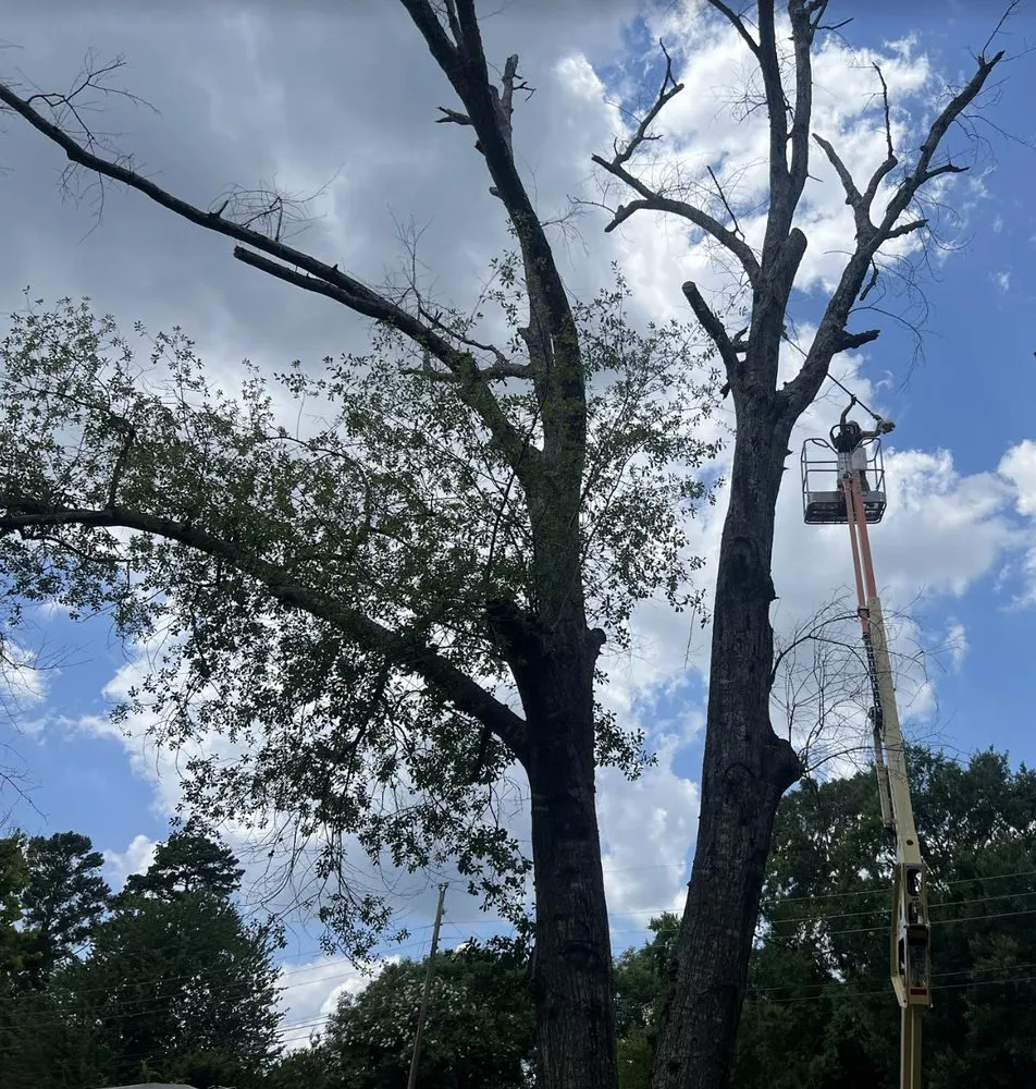 Expert yard cleanup service for homes in Clarksville City, TX by The Firewood Gals