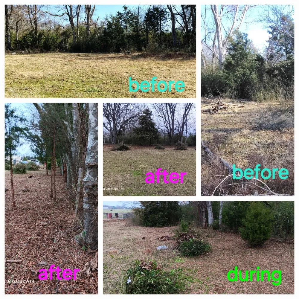 Custom lawn mowing service in Clarksville City, TX - The Firewood Gals